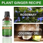 Rosemary Essential Oils & Hair Strengthening Oil, Rosemary Oil for Hair Growth