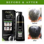 Dexe Black Hair Shampoo 400ml Instant Hair Dye for Men Women